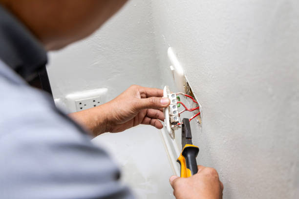 Best Electric Panel Repair  in Ridgeway, VA